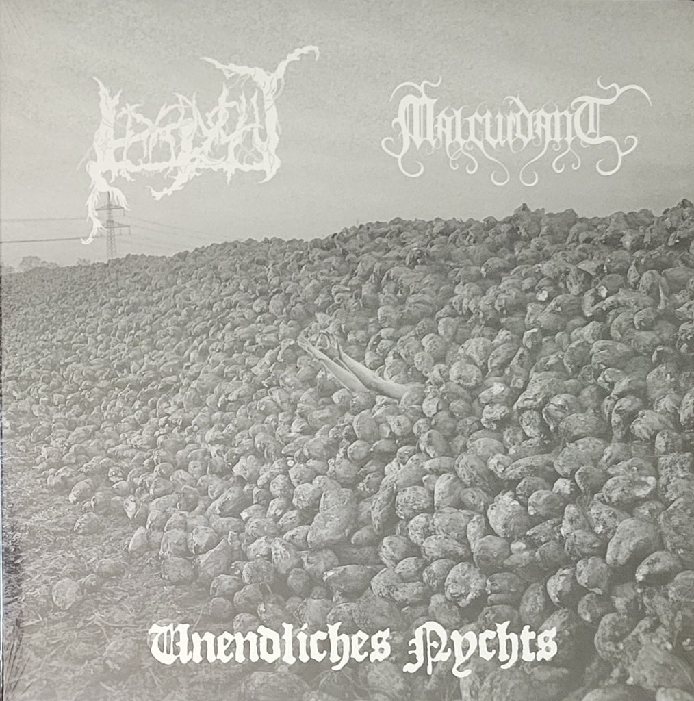 Irrlycht / Malcuidant - Unendliches Nychts LP