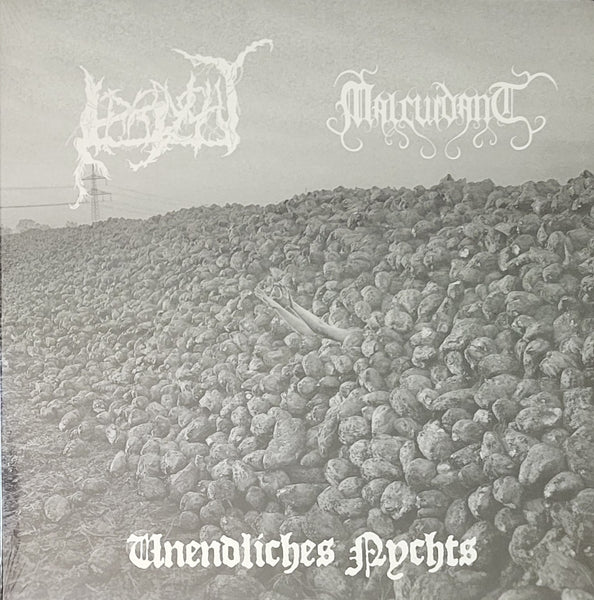 Irrlycht / Malcuidant - Unendliches Nychts LP