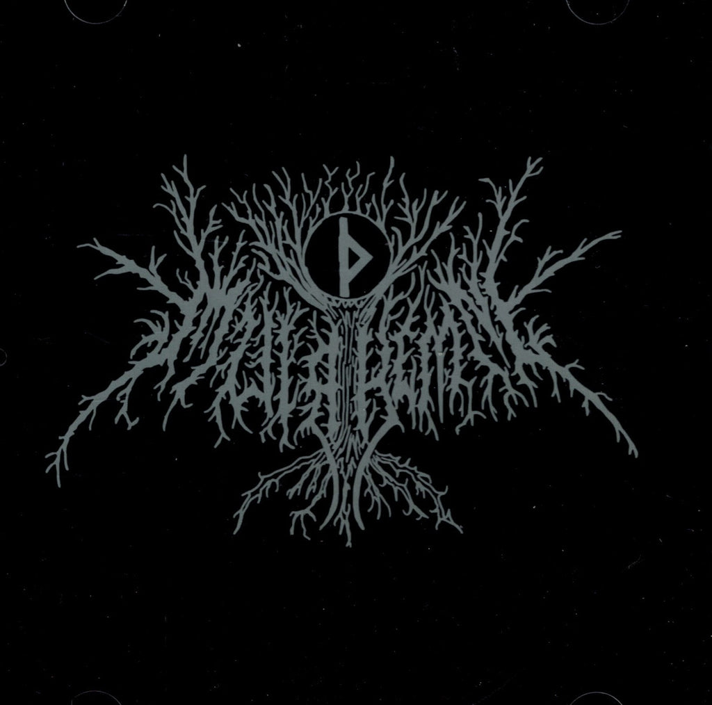Muirthemne -Kaszebszczi Antikosmos CD