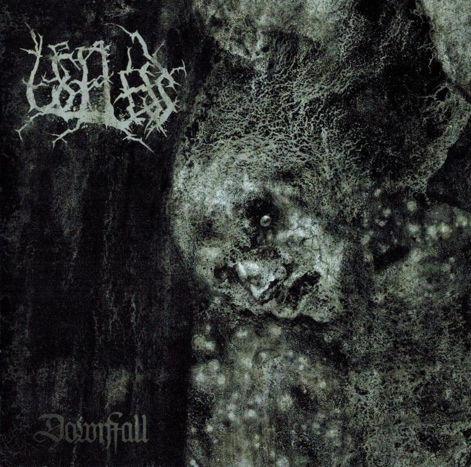 Useless - Downfall CD