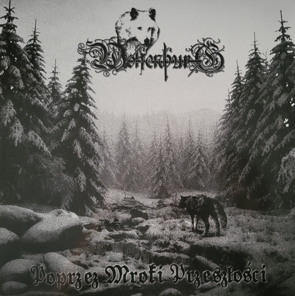 Wolfenburg - Poprzez Mroki Przeszłości LP