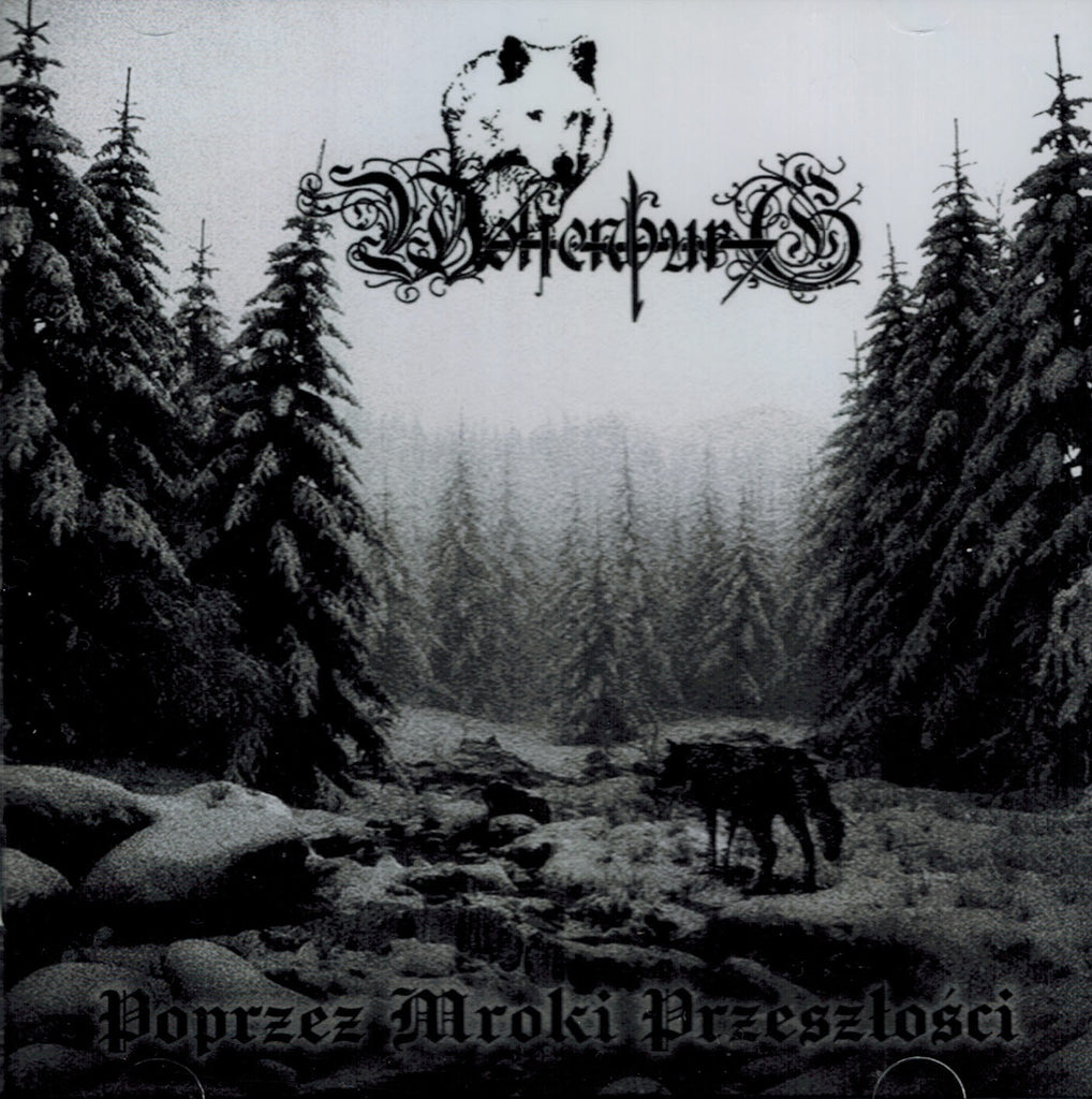 Wolfenburg - Poprzez Mroki Przeszłości CD