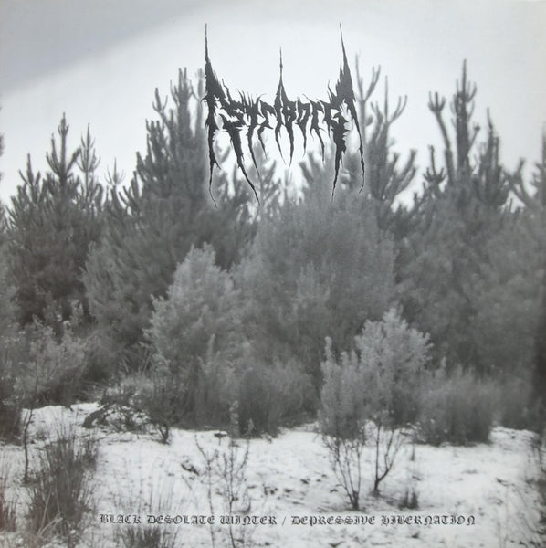 Striborg - Black Desolate Winter / Depressive Hibernation GF DLP