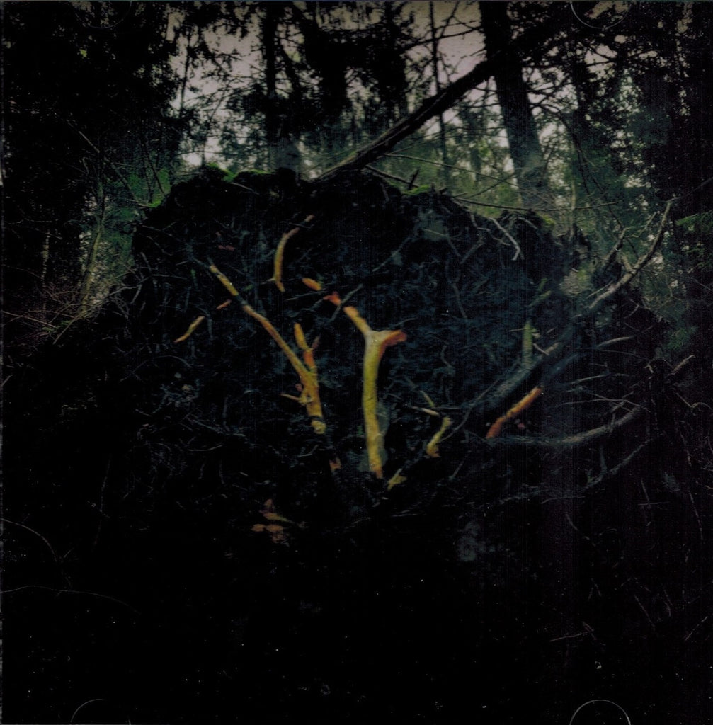 Aukels - Raynkaym CD