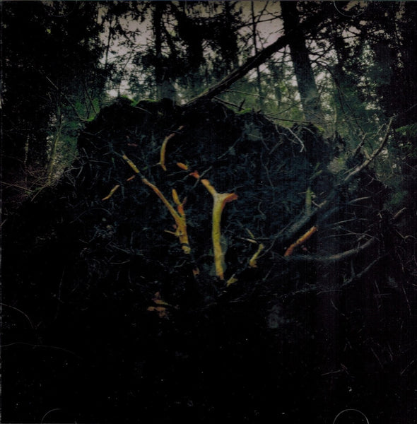 Aukels - Raynkaym CD