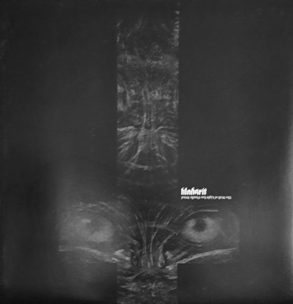 Blodsrit – The well of light has finally died LP