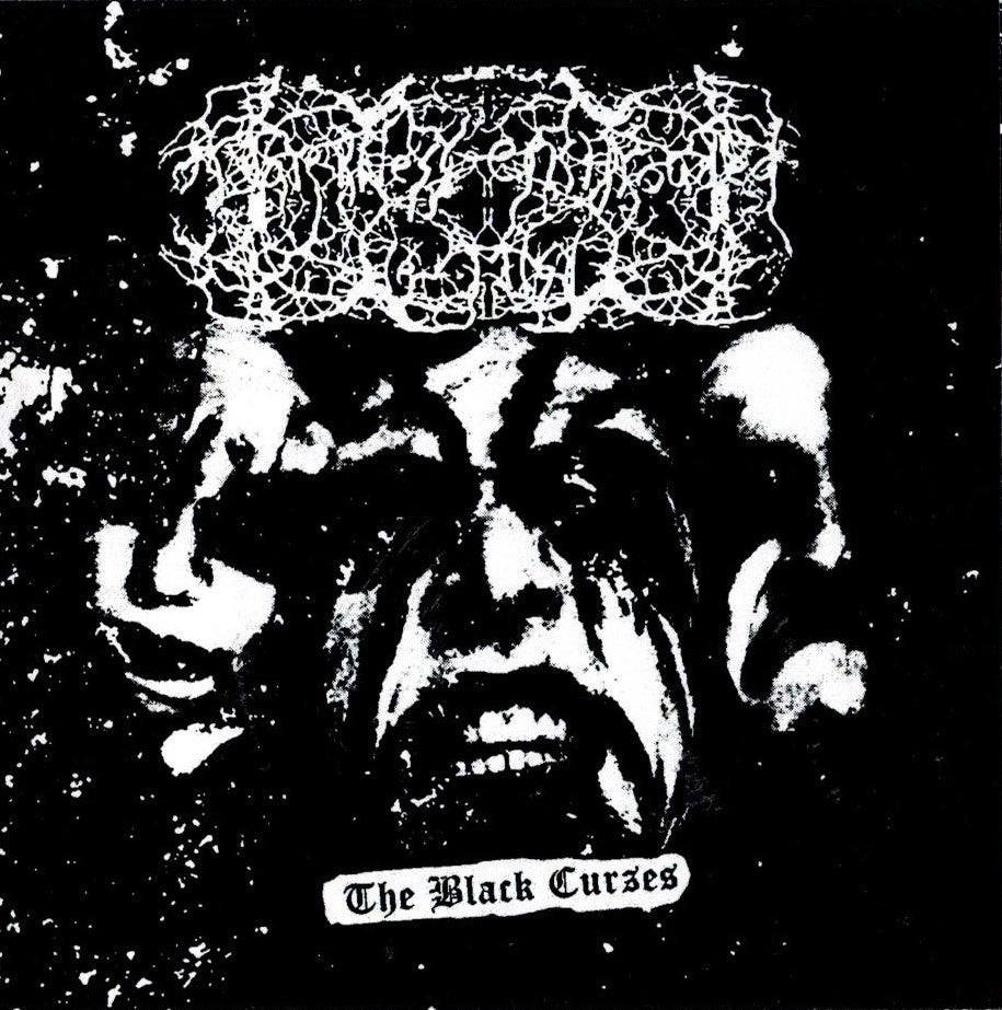 Darkness Enshrouded the Mist - The Black Curses CD